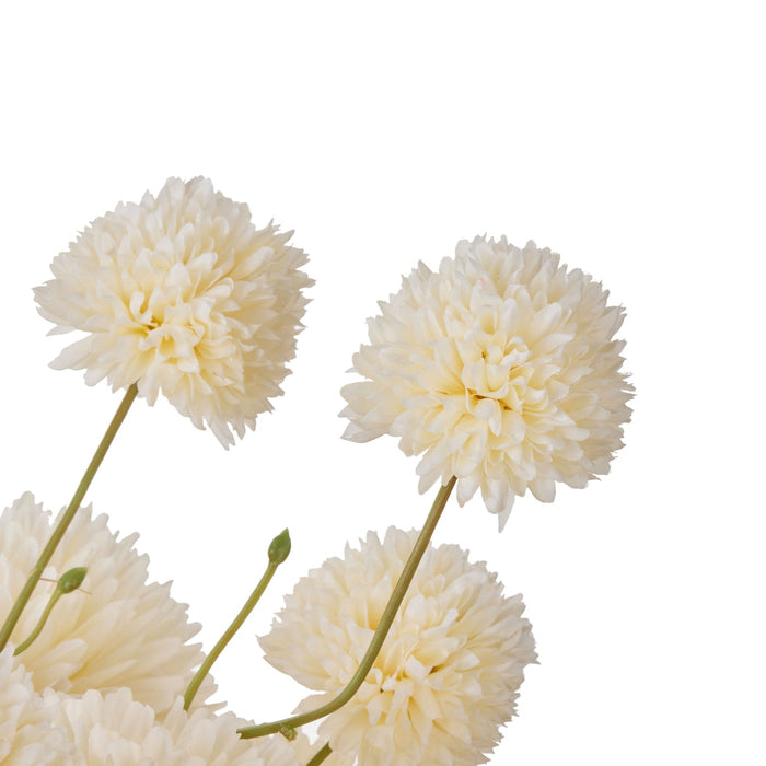 NSIMG-SHA256:d98077f2dfb5614850c3bb8848eba3570206fe06ce6a6171eb0913529c1cc3eb · Isalbi Rogue Kiku Delos Vase Cream