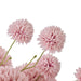 NSIMG-SHA256:3fcb2d33bc5eeaf1b596131d86c5a0fc1c60ec3b3765441a2edd7b3aa4578a28 · Isalbi Rogue Kiku Delos Vase Pink
