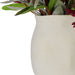 NSIMG-SHA256:2e2f36065fbcfefff8141a02f487b0c1b664aeb9600baaf46b75065aa8831a50 · Isalbi Rogue Protea Kangaroo Paw - Maliah Pink & Burgundy
