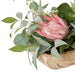 NSIMG-SHA256:58c1c2f24dd2903956dd009abe9a1ec6efe46f0515d0ee607a601d09665b657c · Isalbi Rogue King Protea Native Mix - Dansk Pink