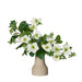NSIMG-SHA256:b44d6135783bdfb92e064a97773ec712d136dbedd02b52e4c449970417eb5da7 · Isalbi Rogue Helleborus Berry Mix - Douglas White & Green