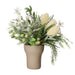 NSIMG-SHA256:fef7adff54a20b3658119467bd872d7428cc1510fe5715f17c23f3b82e4e1b0c · Isalbi Rogue Banksia Tea Leaf Mix - Douglas Vase White & Green