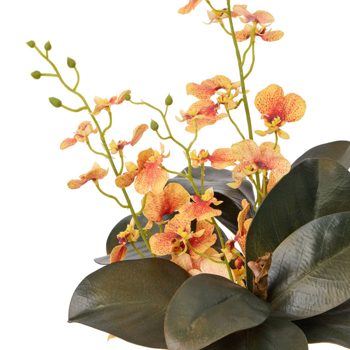 NSIMG-SHA256:ca93e207ca3604f6c3f79a2c55548a4714bae23d616d2db1a6e490fc8c88153c · Isalbi Rogue Dancing Orchid Foliage Mix- Douglas Vase Orange & Green