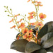 NSIMG-SHA256:ca93e207ca3604f6c3f79a2c55548a4714bae23d616d2db1a6e490fc8c88153c · Isalbi Rogue Dancing Orchid Foliage Mix- Douglas Vase Orange & Green