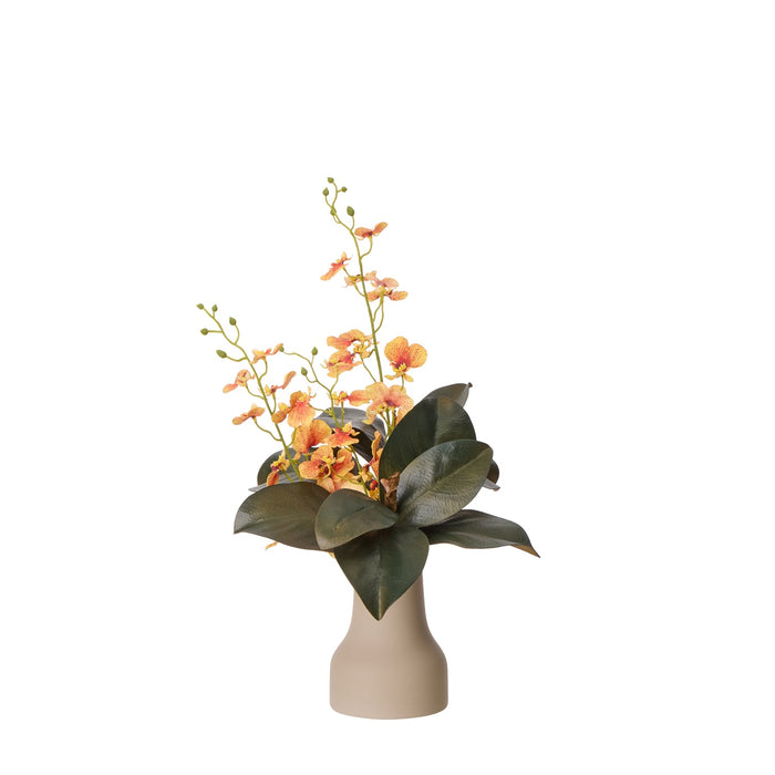 NSIMG-SHA256:1a69e99baf94da4c22d401d129bc6d5fcc313890902a2f64a3889f7608540e3d · Isalbi Rogue Dancing Orchid Foliage Mix- Douglas Vase Orange & Green