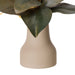 NSIMG-SHA256:8df3b5598d2bf5c8b9727220dcb3ddc78237707feab8632f9277b6fde5d42179 · Isalbi Rogue Dancing Orchid Foliage Mix- Douglas Vase Orange & Green