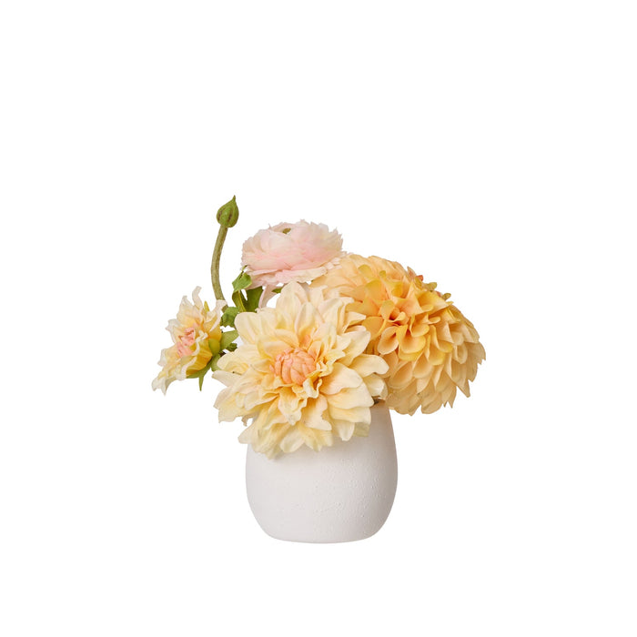 NSIMG-SHA256:27fe78c2c1af0a39392a89b8e95c50e4cfe37df25676029150594bdbaccb68ba · Isalbi Rogue Cosmos Ranunculus Mix - Tub Pink & Orange
