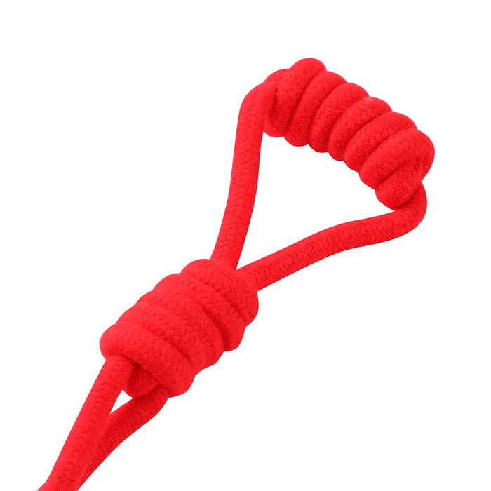 Paws & Claws ROPE CHEW TOY MED 30CM 90G