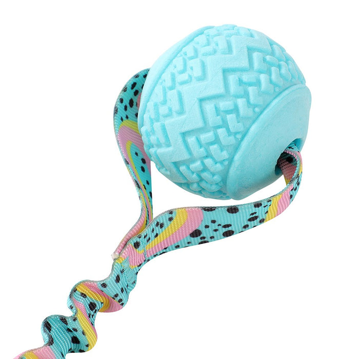 Paws & Claws RETRO BUNGEE BALL PRINTED TUGGER 41X7X7CM