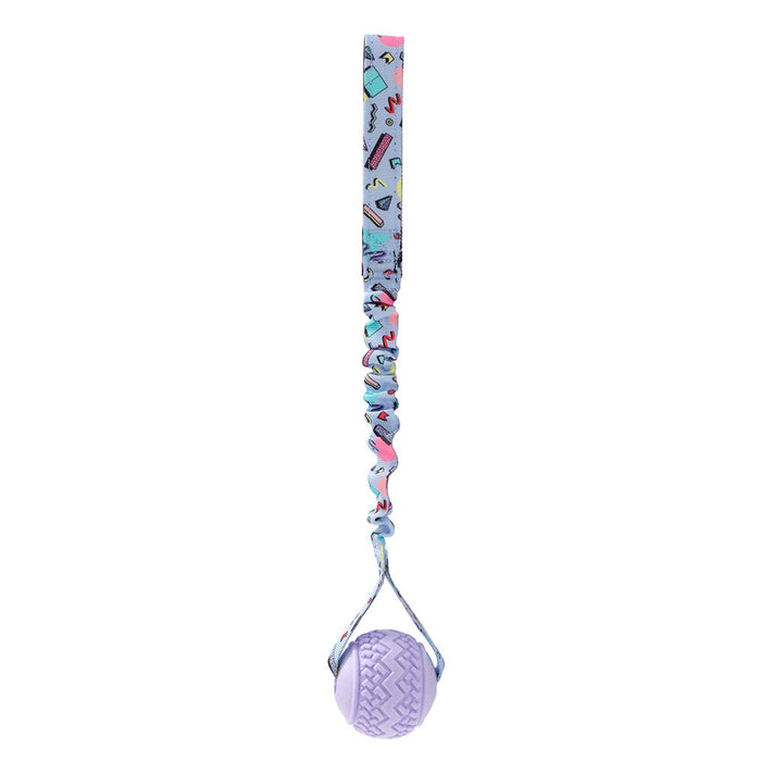 Paws & Claws RETRO BUNGEE BALL PRINTED TUGGER 41X7X7CM