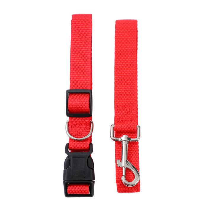 Paws & Claws ESSENTIALS COLLAR & LEAD SET COLS LGE 39 - 69CM LEAD 120X2.5CM BLK/RED/BLUE