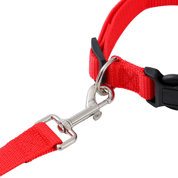 Paws & Claws ESSENTIALS COLLAR & LEAD SET COLS LGE 39 - 69CM LEAD 120X2.5CM BLK/RED/BLUE
