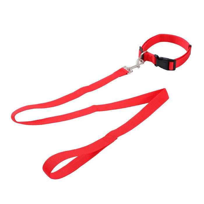 Paws & Claws ESSENTIALS COLLAR & LEAD SET COLS LGE 39 - 69CM LEAD 120X2.5CM BLK/RED/BLUE
