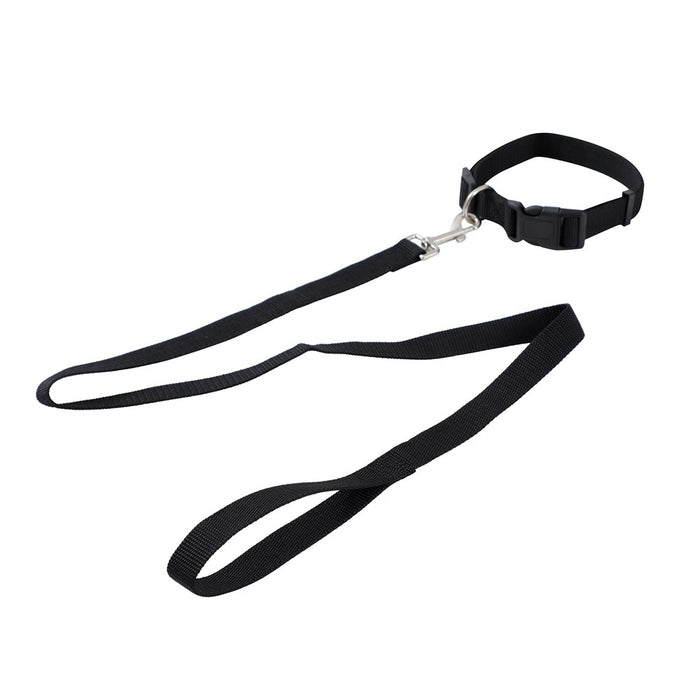 Paws & Claws ESSENTIALS COLLAR & LEAD SET COLS LGE 39 - 69CM LEAD 120X2.5CM BLK/RED/BLUE
