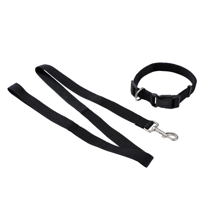 Paws & Claws ESSENTIALS COLLAR & LEAD SET COLS LGE 39 - 69CM LEAD 120X2.5CM BLK/RED/BLUE