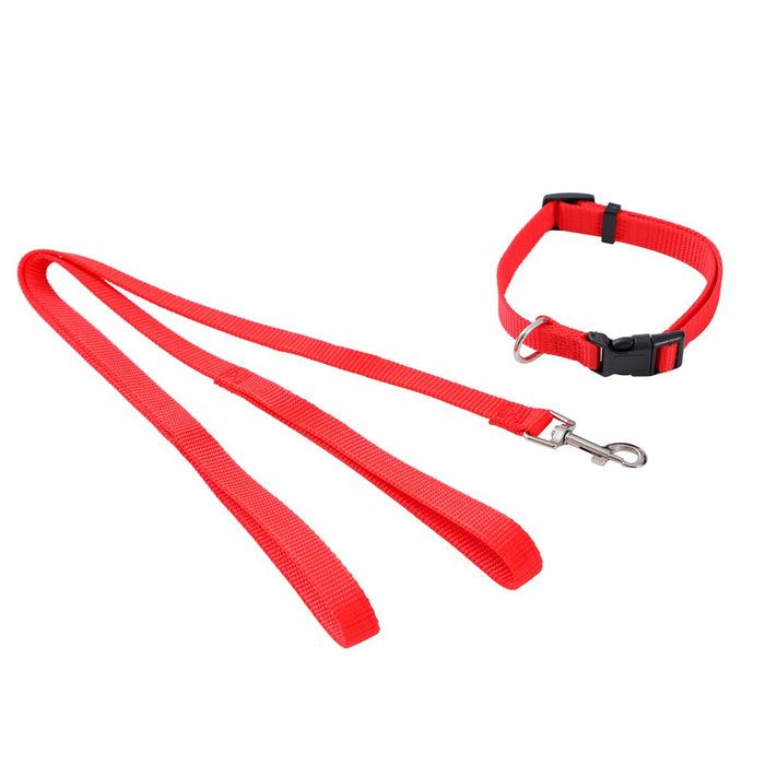 Paws & Claws ESSENTIALS COLLAR & LEAD SET COLS SML 24 - 39CM LEAD 120X1.5CM BLK/RED/BLUE