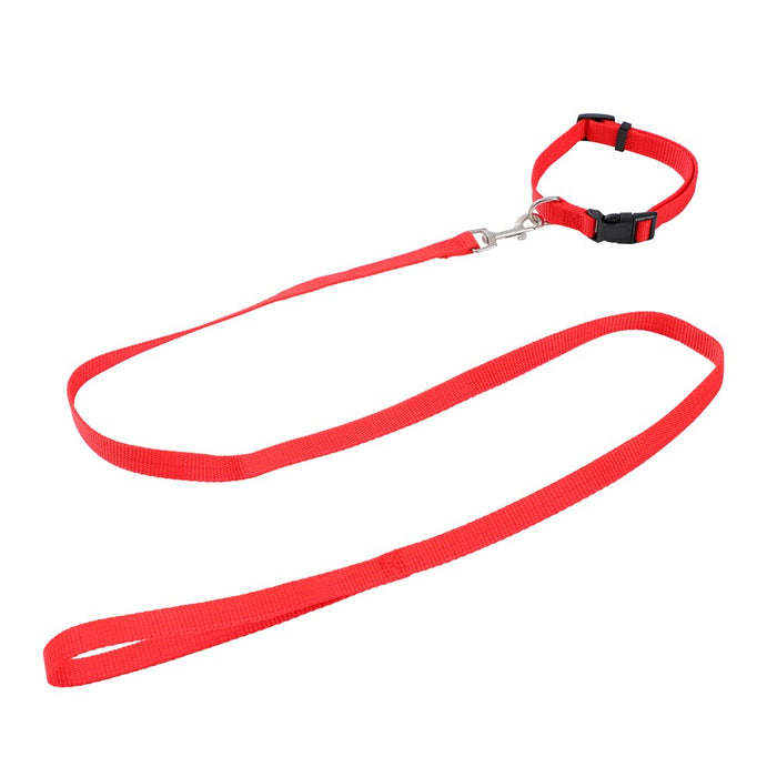Paws & Claws ESSENTIALS COLLAR & LEAD SET COLS SML 24 - 39CM LEAD 120X1.5CM BLK/RED/BLUE