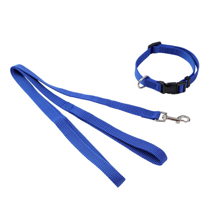 Paws & Claws ESSENTIALS COLLAR & LEAD SET COLS SML 24 - 39CM LEAD 120X1.5CM BLK/RED/BLUE
