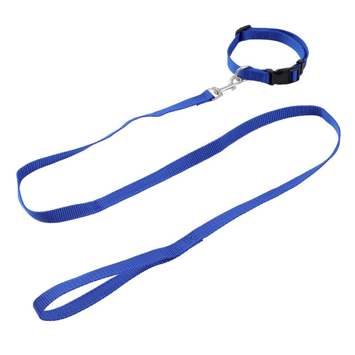 Paws & Claws ESSENTIALS COLLAR & LEAD SET COLS SML 24 - 39CM LEAD 120X1.5CM BLK/RED/BLUE