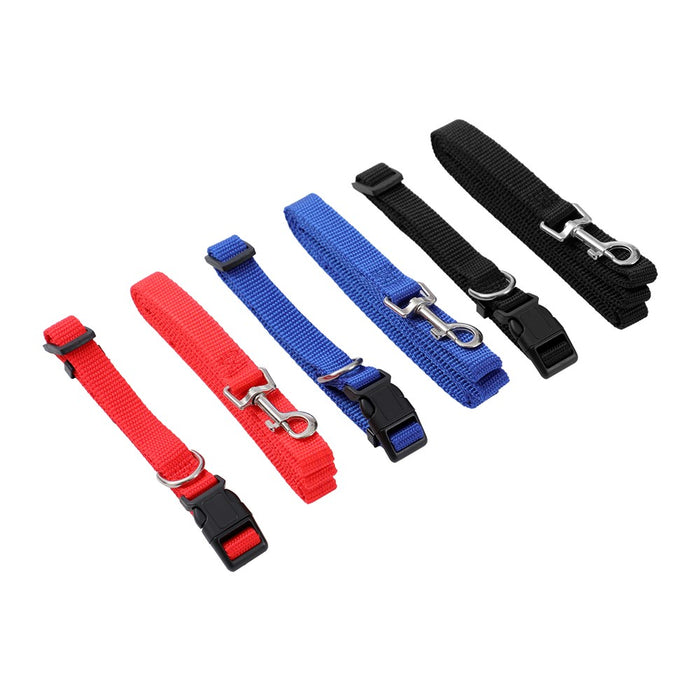 Paws & Claws ESSENTIALS COLLAR & LEAD SET COLS SML 24 - 39CM LEAD 120X1.5CM BLK/RED/BLUE