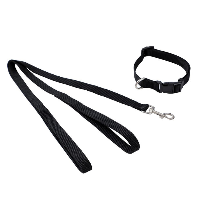 Paws & Claws ESSENTIALS COLLAR & LEAD SET COLS SML 24 - 39CM LEAD 120X1.5CM BLK/RED/BLUE
