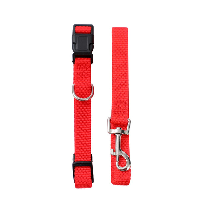 Paws & Claws ESSENTIALS COLLAR & LEAD SET COLS SML 24 - 39CM LEAD 120X1.5CM BLK/RED/BLUE