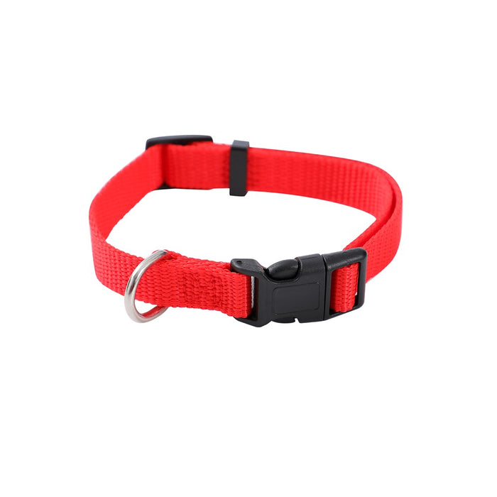 Paws & Claws ESSENTIALS COLLAR & LEAD SET COLS SML 24 - 39CM LEAD 120X1.5CM BLK/RED/BLUE