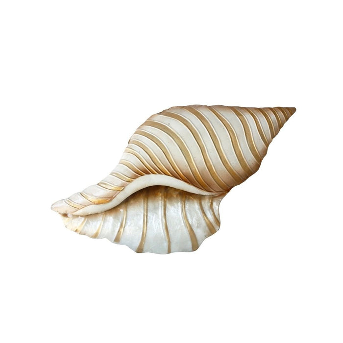 2 set Capiz Conch Shell Wall Art