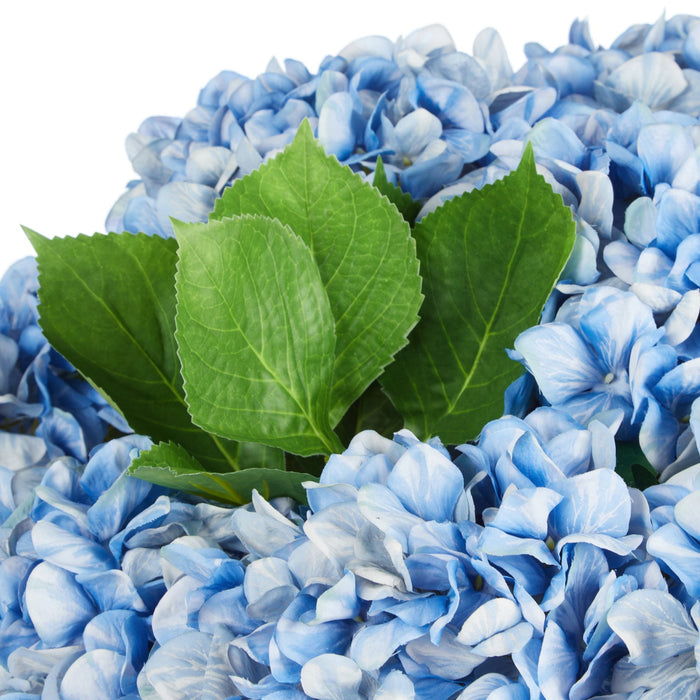 NSIMG-SHA256:b04d2c8aa7274821e67dab8e7c361ea0781074a1a6ad7bf4d4a0d0f99570171a · Isalbi Rogue Garden Hydrangea Mix - Dahlia Bowl Blue & Glass