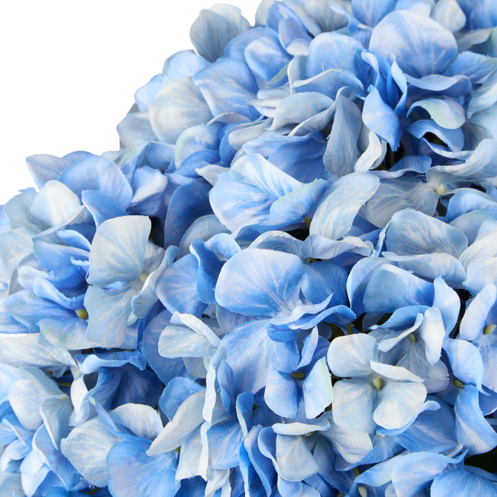 NSIMG-SHA256:6d08093a883d455ee3525e7ba6cd6b2556e0ddde36a9f226a8bc99ee586c52e8 · Isalbi Rogue Hydrangea - Phoebe Sphere Vase Blue/Glass