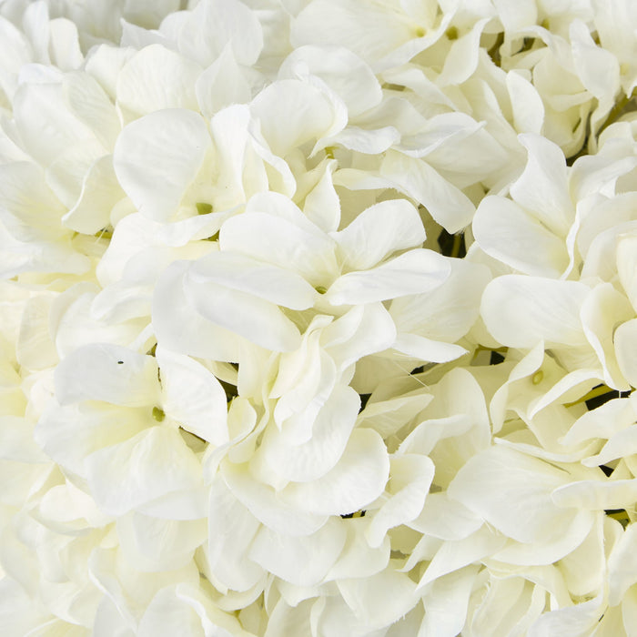 NSIMG-SHA256:2e2a78d2f81cbddc73c423ccf951452e426e5b77aeccb7bc79e2027f5cef41d6 · Isalbi Rogue Hydrangea - Phoebe Sphere Vase White/Glass