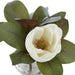 NSIMG-SHA256:4ec7715f5cbb57f4b47591899aeb419529fd83bd9fea6e491af848d9055de57f · Isalbi Rogue Magnolia - Sphere Vase White