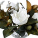 NSIMG-SHA256:b6fa53ed22c4a910e886aab66e84941d4139f337c244dd47ea992ea14f36f27a · Isalbi Rogue Magnolia Grandiflora - Dahlia Bowl White
