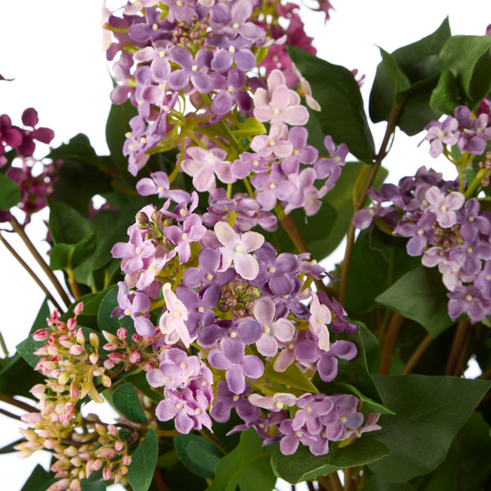 NSIMG-SHA256:6d8dce6f2656ce47afd9126027afa213b11517bdcbfd4853dce979c7e4d7987a · Isalbi Rogue Lilac Garden Mix - Claire Vase Purple