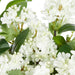 NSIMG-SHA256:2e1554aef9d7276b1456d112918478fd970e3335085ade8da206d5e446b37aa7 · Isalbi Rogue Lilac Garden Mix - Claire Vase White/Glass