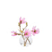 NSIMG-SHA256:877f3e7dff7a70a869be6a06d25dd501f51559137c4a5e032ce3eb7eb944de7b · Isalbi Rogue Mini Magnolia - Sphere Vase Pink