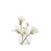 NSIMG-SHA256:b5c15c56efc7a84e3124ee0d5d7a052dc853bf6b956a8e50873439b9d6401296 · Isalbi Rogue Mini Magnolia - Sphere Vase White