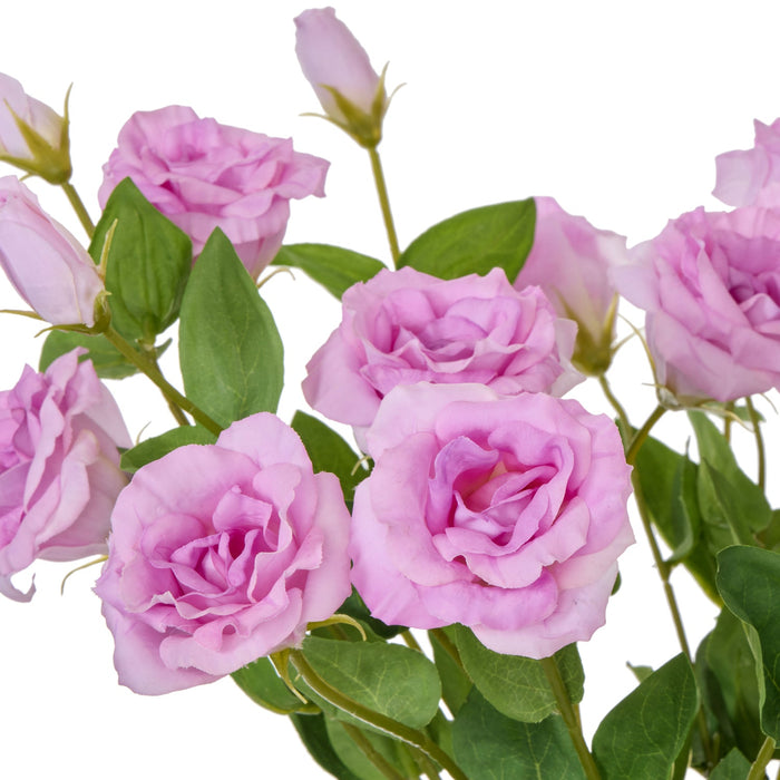 NSIMG-SHA256:1f4e1e2ab9b53620cd12c81e00fea323efeeacbe4ea72a38a6c4947a607a81c2 · Isalbi Rogue Lisianthus Claire Vase Purple