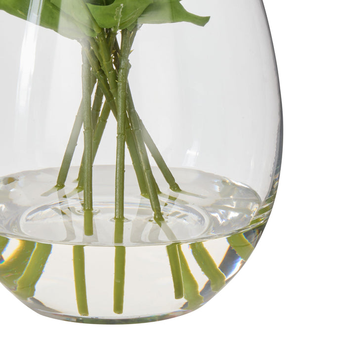 NSIMG-SHA256:6fbb7a68ff6523b6ee591bfbd2fe64d1c9bb1b491d778088c15f6fb28a4f62cd · Isalbi Rogue Lisianthus-Claire White