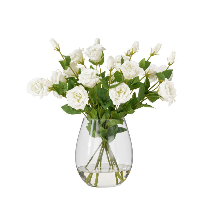 NSIMG-SHA256:36916d4ae4d88e2199208d54f2f1e803f6aef1f6eee6e3b7886965df28cbfce1 · Isalbi Rogue Lisianthus-Claire White