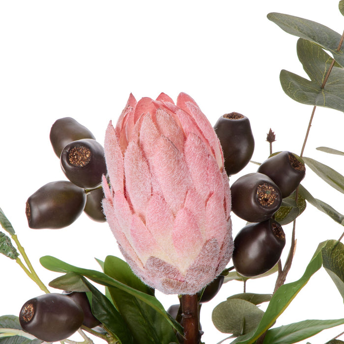 NSIMG-SHA256:2eebda605fde632b42452e793e82e525f42cf79812acab02e630c063bff0a244 · Isalbi Rogue Protea Seeding Mix - Pauline Rust & Green