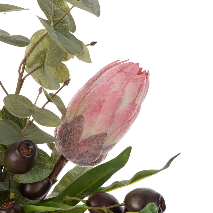 NSIMG-SHA256:7d9fcc016c175df756e4e4c3ef667bd512c344523699f323f9a3598265d30e27 · Isalbi Rogue Protea Seeding Mix - Rachel Rust & Green