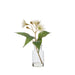 NSIMG-SHA256:8107d8ba467ea939e517f1a9009a7610c4a32553ef5ba14bc4c9ed0b78bde34a · Isalbi Rogue Flowering Eucalyptus - Specimen White & Green