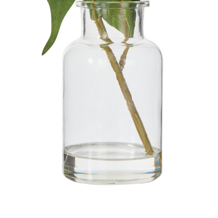 NSIMG-SHA256:26b26d21511df5e54ffc5a9f6540cea26f2237ea8605d07e44193ad7fda4f9b5 · Isalbi Rogue Flowering Eucalyptus - Specimen White & Green
