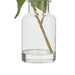NSIMG-SHA256:26b26d21511df5e54ffc5a9f6540cea26f2237ea8605d07e44193ad7fda4f9b5 · Isalbi Rogue Flowering Eucalyptus - Specimen White & Green