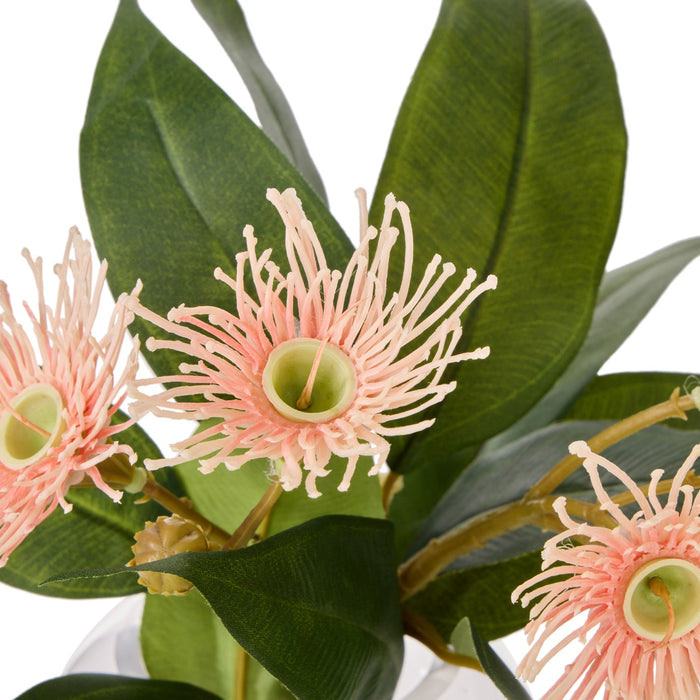 NSIMG-SHA256:3df37bc03cf8871b9348705842248206c47af864697bc716eaf4e9d046b52b7e · Isalbi Rogue Flowering Eucalyptus - Sphere Pink & Green