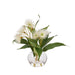 NSIMG-SHA256:cd5cd2999b22f539b25f73620f95d7e06ce3938e2fb529bc11ebf85c1749086e · Isalbi Rogue Flowering Eucalyptus - Sphere White & Green