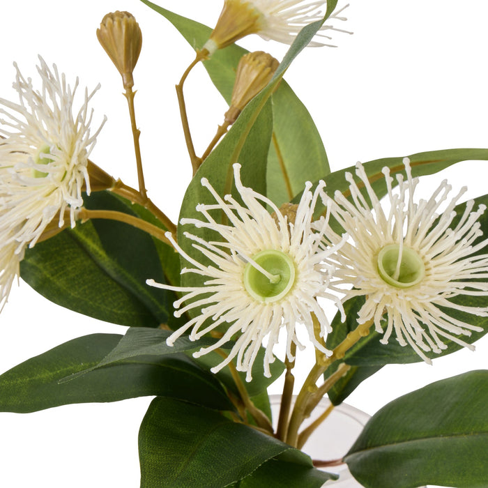 NSIMG-SHA256:195c9529a629f70ffd53b8b2fd9b71b466ab02f465d18c1474667faeb073d882 · Isalbi Rogue Flowering Eucalyptus - Sphere White & Green