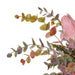 NSIMG-SHA256:b72a7a2eb74983862b1b7a334bfae8813b2eeec449a59929c71155b165538ece · Isalbi Rogue Protea Eucalyptus Mix - Pail Pink & Burgundy