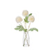 NSIMG-SHA256:9fe11f0a20fd4c68a02b9f6956136bbeef0ae6bf65a9cd04be4a5414a0cce1d9 · Isalbi Rogue Kiku in Milk Bottle Ivory